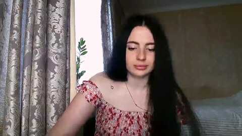 sollazola