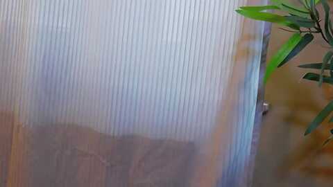 foreverchic @ myfreecams on 20230914