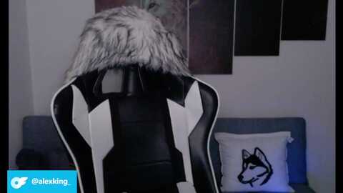 lycangirl @ myfreecams on 20230920