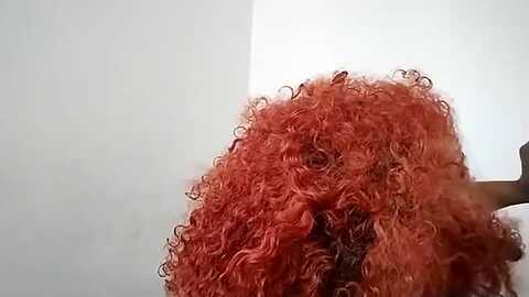 mysticbae @ myfreecams on 20230930