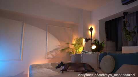 freya @ myfreecams on 20231002