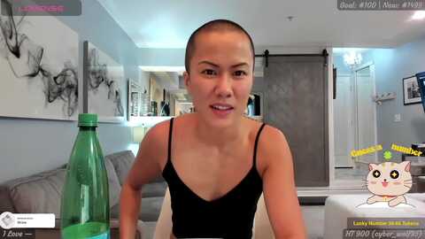 happyhyogan @ myfreecams on 20231008