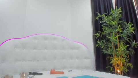 alma_whiteee @ myfreecams on 20231030