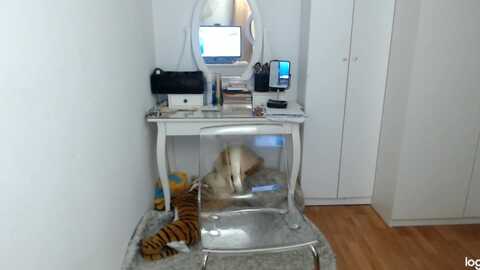 autumnjewel @ myfreecams on 20231101