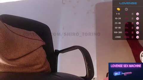 cottoncandy @ myfreecams on 20231103