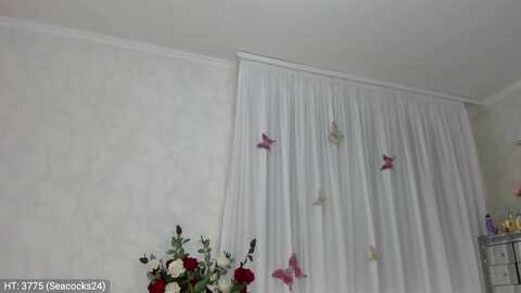 missbutterfly @ myfreecams on 20231103