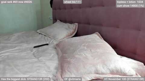 swtalterego @ myfreecams on 20231103