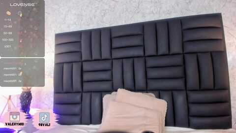 valerykills @ myfreecams on 20231103