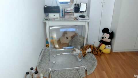 autumnjewel @ myfreecams on 20231104