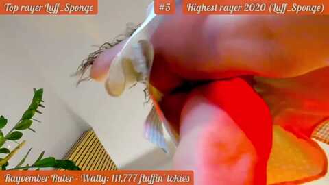 fluffinrayray @ myfreecams on 20231104