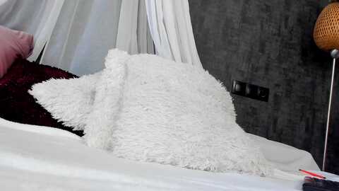 angellblack @ myfreecams on 20231109