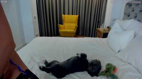 girlboss @ myfreecams on 20231110