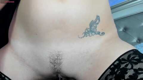 allypinklips @ myfreecams on 20231111