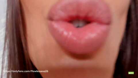 meow_s @ myfreecams on 20231112