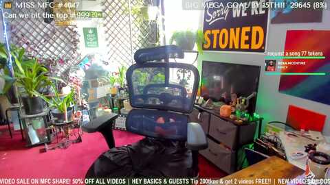 cherrybanks @ myfreecams on 20231113