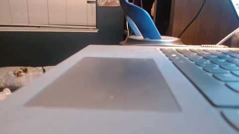 danigreen215 @ myfreecams on 20231113