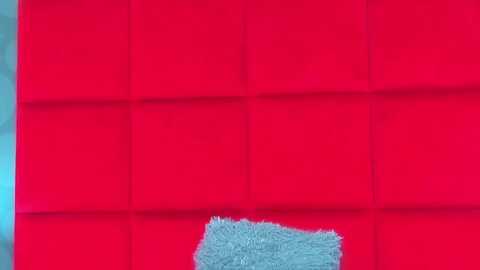 irisbella @ myfreecams on 20231113