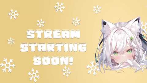 snowkitty @ myfreecams on 20231113