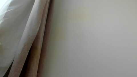 sweetyangelof @ myfreecams on 20231113