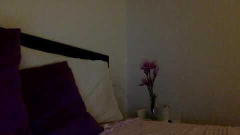 brandybella @ myfreecams on 20231114