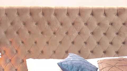 lizsomerset @ myfreecams on 20231116