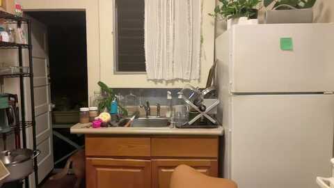 ailia_ @ myfreecams on 20231118