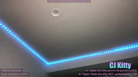 cj_kitty