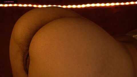 xdaphnemoss @ myfreecams on 20231126