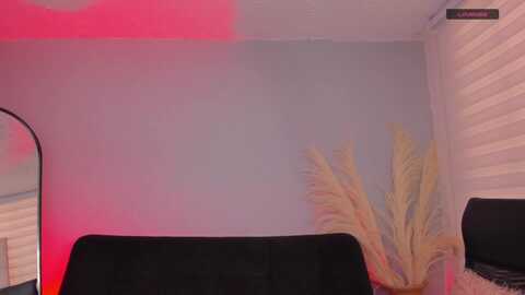 violet_03_ @ myfreecams on 20231207