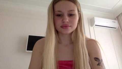 stellasol @ myfreecams on 20231223