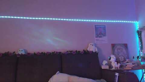 sweetmimia @ myfreecams on 20231223