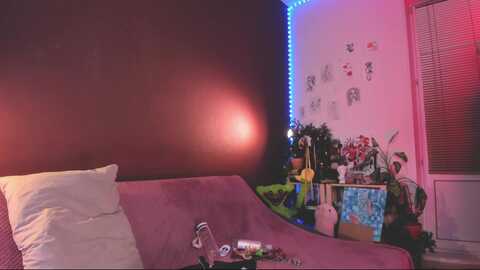 juby_yubi @ myfreecams on 20231228