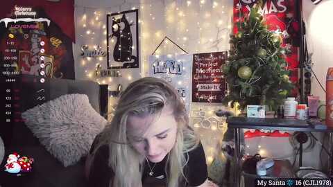 naughtykitten @ myfreecams on 20231228