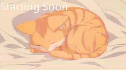 kitty @ myfreecams on 20240103