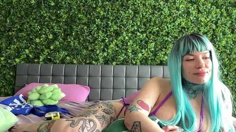 bostonxiii @ myfreecams on 20240109