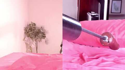 mandy_rose_ @ myfreecams on 20240109