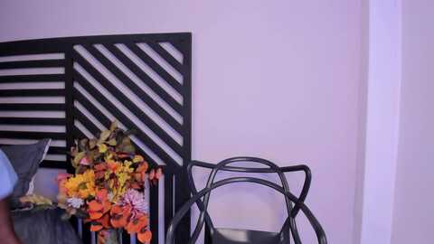 maleja_miller @ myfreecams on 20240117