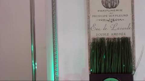 freyagold @ myfreecams on 20240121