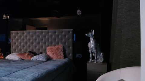 d_y_y @ myfreecams on 20240122