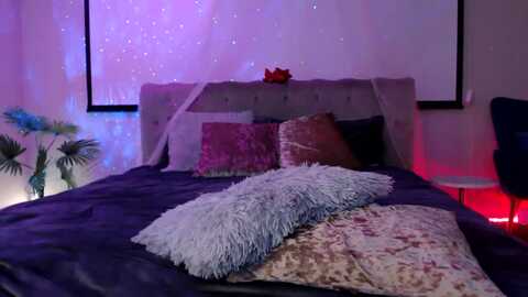 brianacoxx @ myfreecams on 20240128