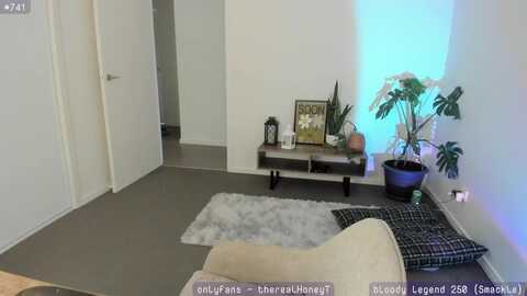 honeytits_ @ myfreecams on 20240211
