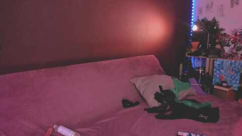 juby_yubi @ myfreecams on 20240213