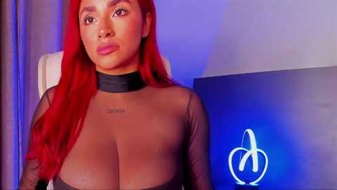 taylordoll