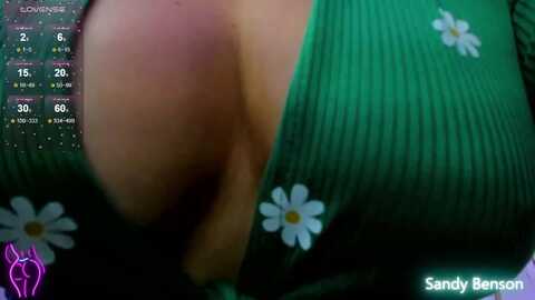 sandybenson_