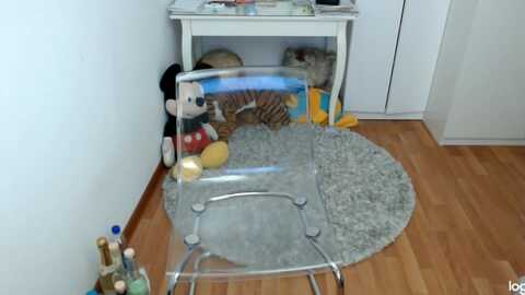 springjewel @ myfreecams on 20240313