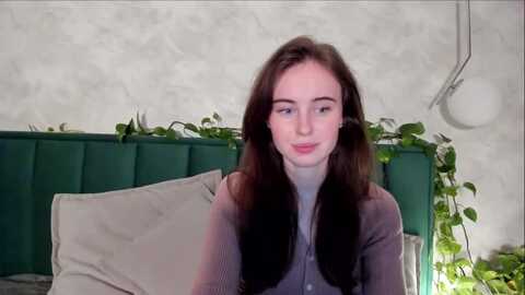 usersasha