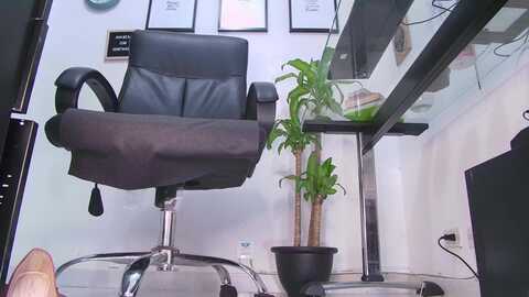 alissagodess @ myfreecams on 20240404