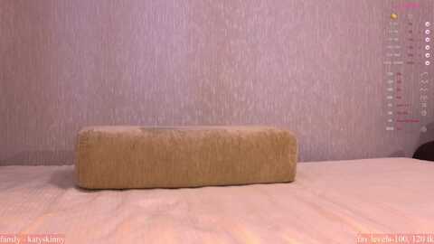 katyskinny @ myfreecams on 20240505