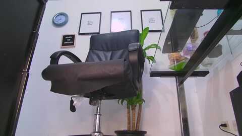 alissagodess @ myfreecams on 20240506