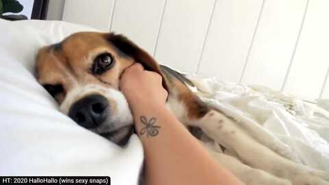 adorabledee